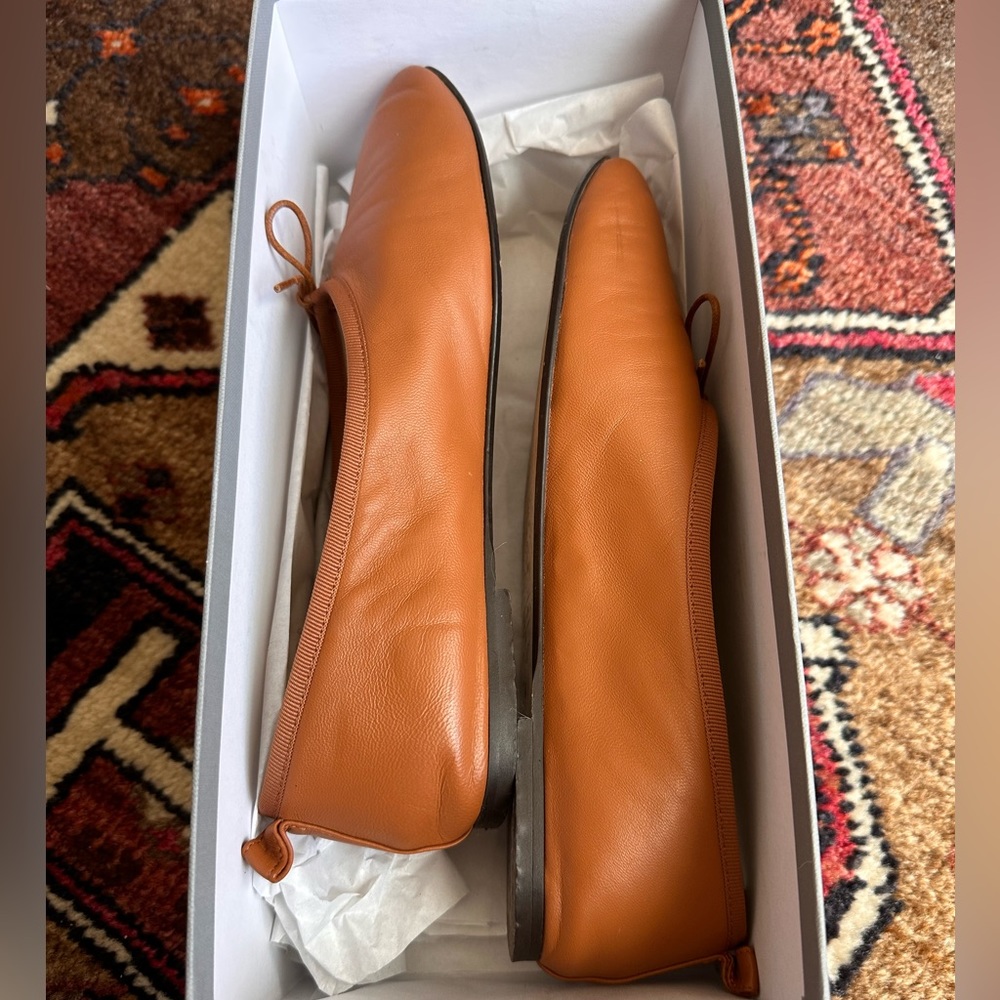 Everlane Day Ballet Leather Flat